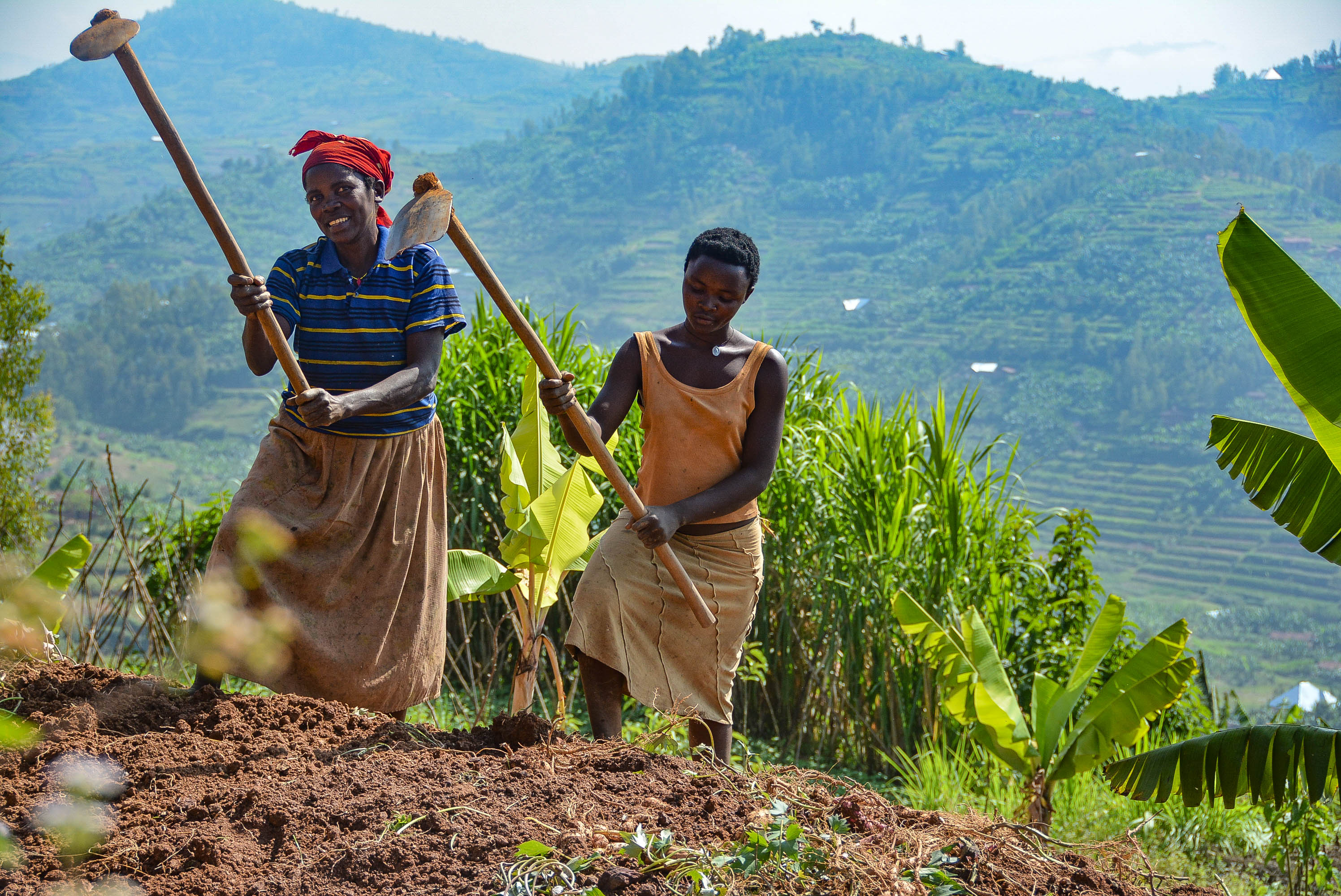 Rwandan Smallholder Farmers