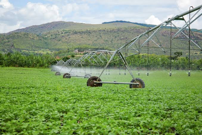 Field Sprinkler Irrigation